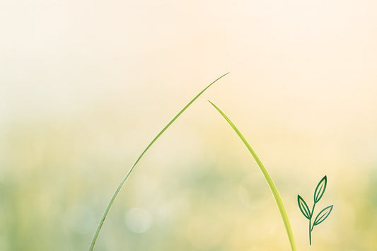 Wenn die Richtung noch offen ist, die Werte aber bereits tragen