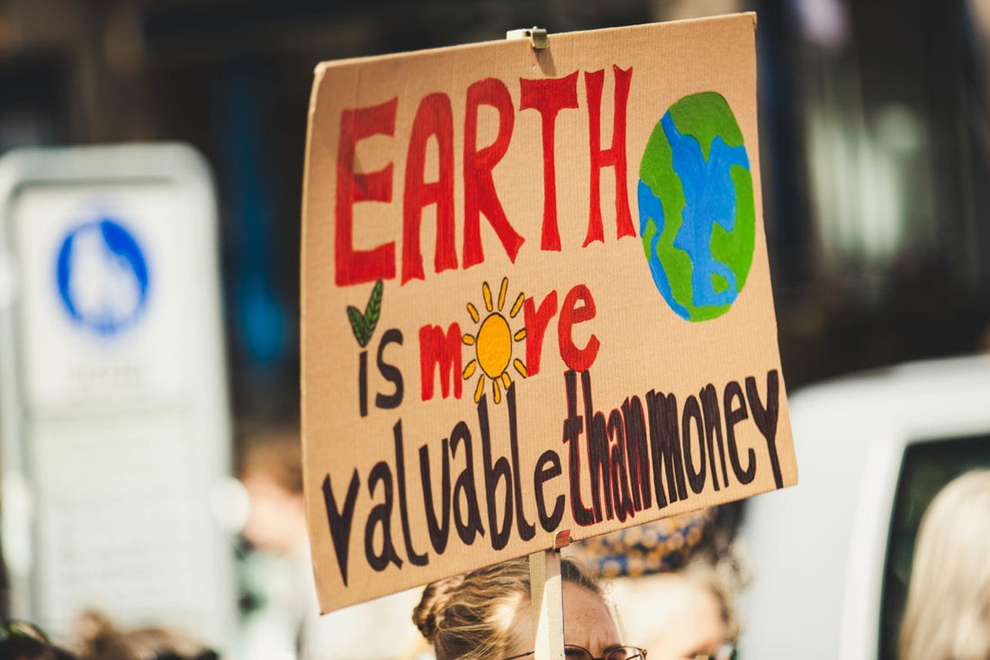 Demonstrationsschild mit der Aufschrift „Earth is more valuable than money“ – gemalt auf Pappe, mit Erde, Sonne und Blättern als Symbole für Umweltschutz.